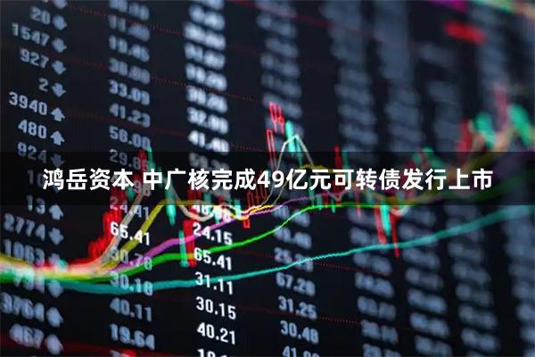 鸿岳资本 中广核完成49亿元可转债发行上市